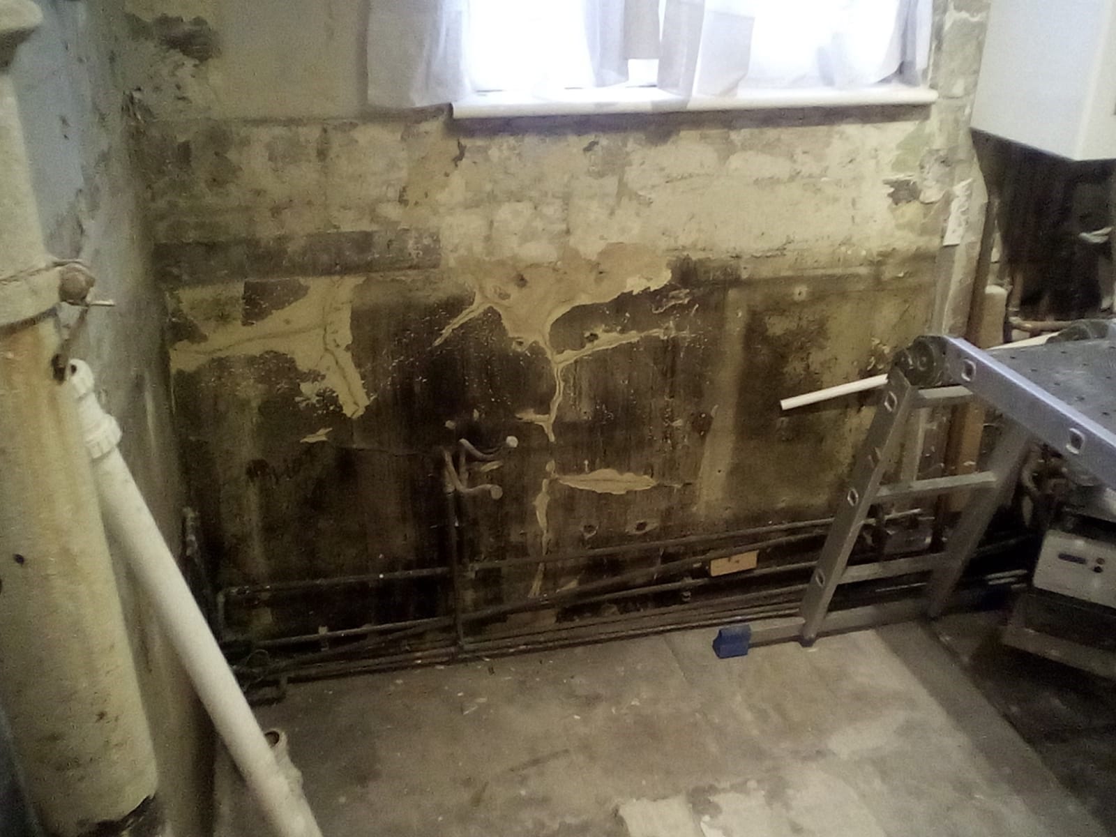 Mould Testing Services
