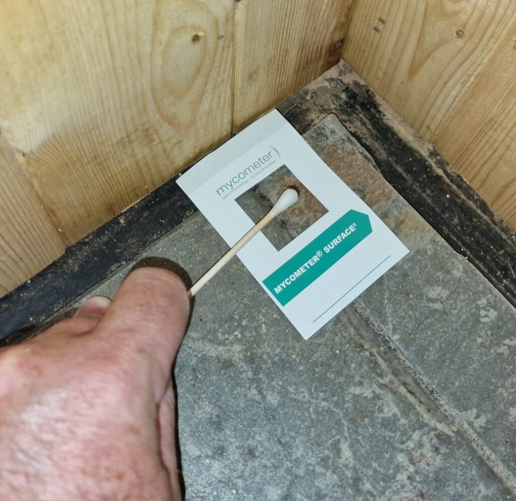 Mould surface testing
Mould testing